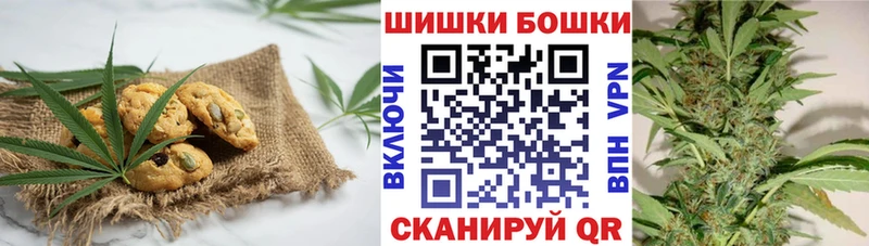 кракен как зайти Кингисепп Cannafood конопля
