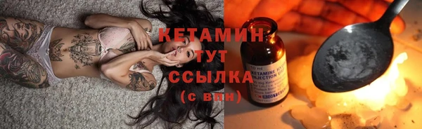 прущие грибы Бородино