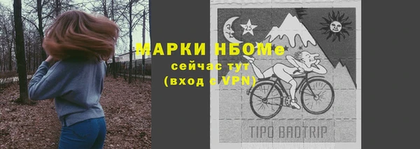 прущие грибы Бородино