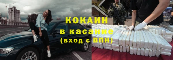 прущие грибы Бородино