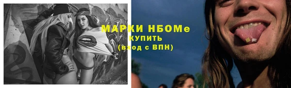 соль ск Богданович