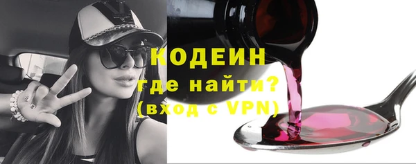 прущие грибы Бородино