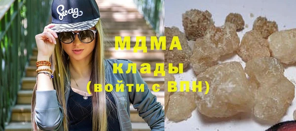прущие грибы Бородино