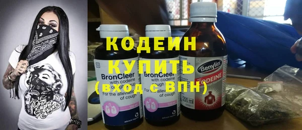 прущие грибы Бородино
